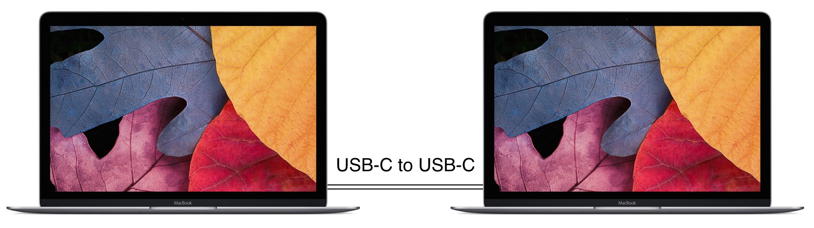 MacBook-Retina-USB-C-to-USB-C