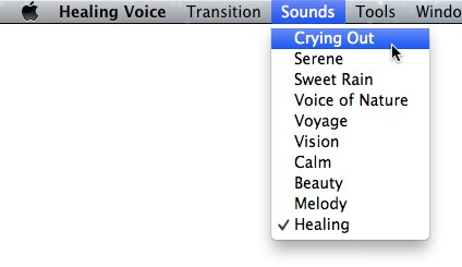 img2-Healing-Voice-review