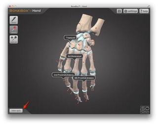 BoneBox-Hand-Quiz-img1