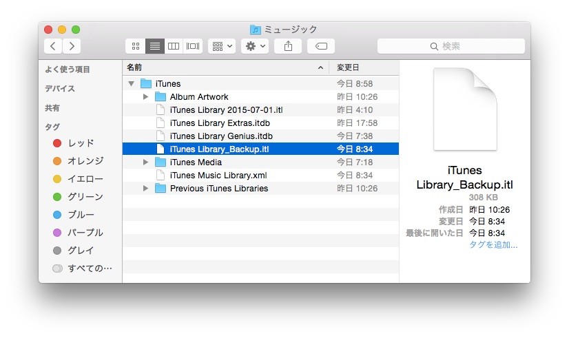 iTunes-Library-Backup2