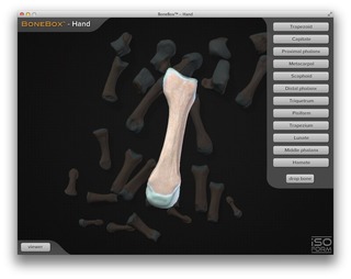 BoneBox-Hand-Quiz-img3