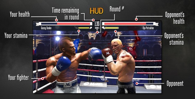 Real-Boxing-for-Mac-Discription2