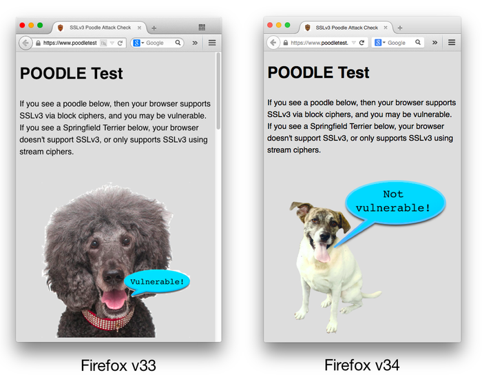 Firefox-v33-and-v34-SSLv3-Poodle-Check