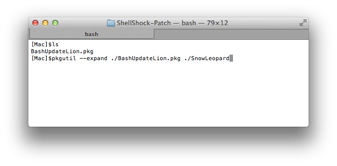 BashUpdateLion-pkg-pkgutil-expand