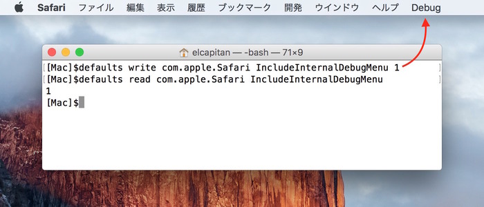 Safari-Debug-Menu-defaults