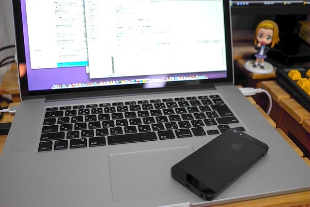 iPhone5がトイレにIYH