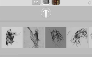 アーティストのための3D解剖学的構造_4