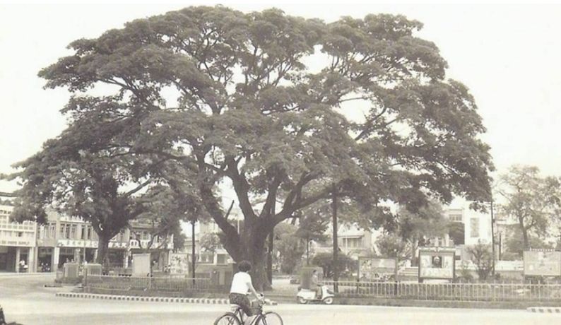 WS000649