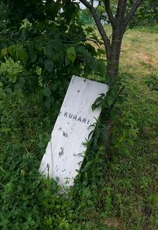 kanban