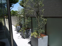 P1120418
