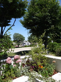 P1120428
