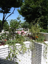 P1120421