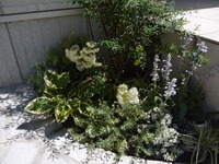 P1120433