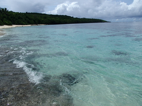 P8300430