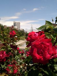 217d479d.jpg