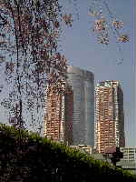 869496da.jpg