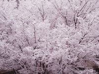 8834f4a1.jpg
