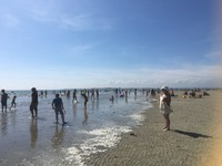 IMG_3868
