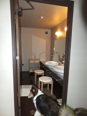 部屋5