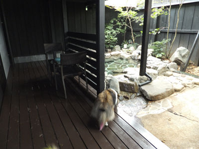 温泉1