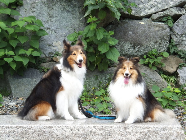 城