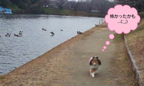 ジナたんかも