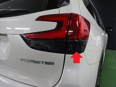 259952635_org_v1548051428