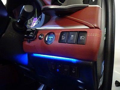 259613146_org_v1545892562