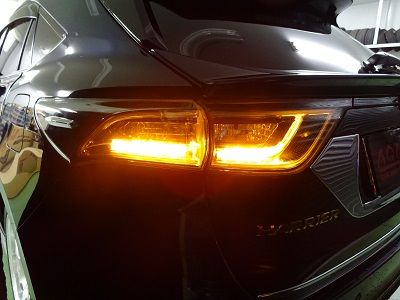 259775221_org_v1546831589