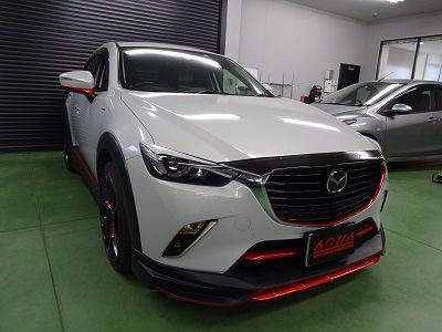 259605407_org_v1545822379