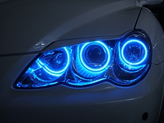 ec6809434a188de59113-M.JPG