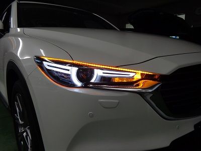 258223831_org_v1538703301