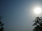 5月4日