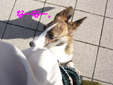 なーなー。