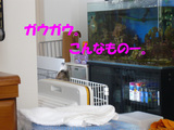 破壊魔