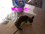 帰ってきました。
