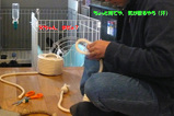 作成中