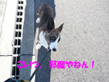 邪魔やねん。