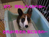 犯人ー2