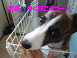 早く行こう。