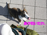 鼻が乾いたわ。