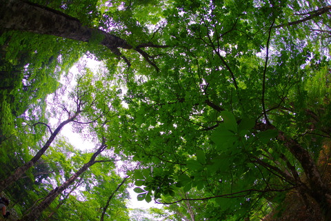 IMGP9738