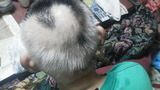 中野　2週間後２