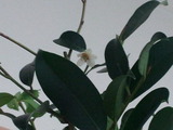20140324_183313