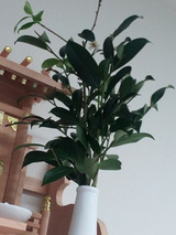 20140324_183332