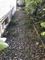 IMG_0292