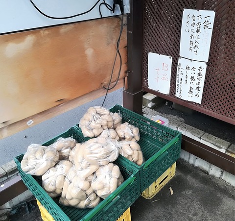 天ぷら天八 (1)