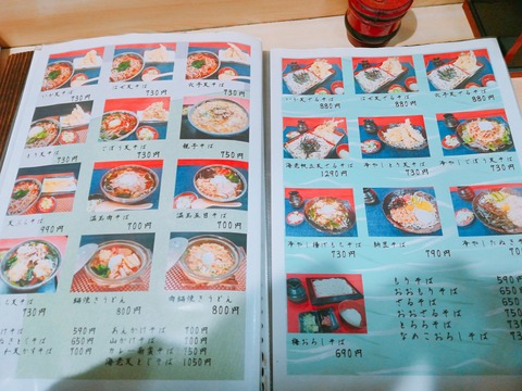 更科磯切蕎麦 (4)