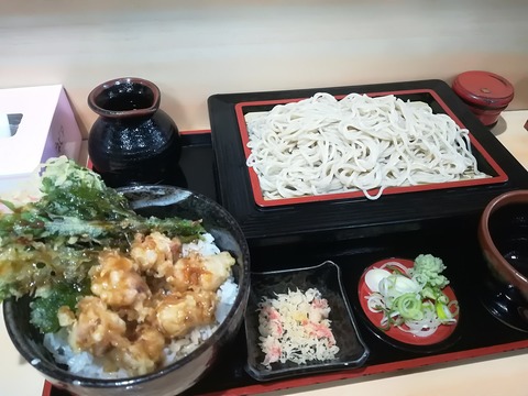 更科磯切そば (1)