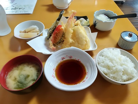 天ぷら天八 (8)